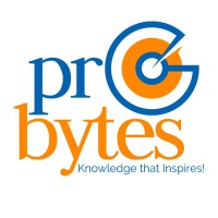 ProBytes logo - Similar company to Probyte