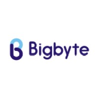 Bigbyte logo - Similar company to Bigbytes Pte Ltd