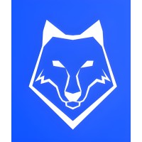 Wiseversity logo - Similar company to Bmll