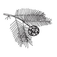 Cypress Construction LLC logo - Similar company to Handler Homes