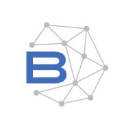 Basis Consulting