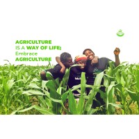 PERFECT AGRO VENTURES logo - Similar company to Perfect Agro Enterprise (Robi Axiata Ltd Authorized Distribution)