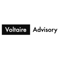 Voltaire Advisory logo - Similar company to Viarte