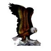 Brooks, Todd & McNeil logo - Similar company to Kenneth Rhodes & Associates
