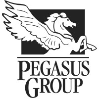 PEGASUS GROUP - OWNER'S REPRESENTATIVE logo - Similar company to Owner'S Representative, Llc