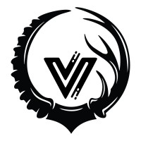 Virtual Ibex logo - Similar company to Tech Olives