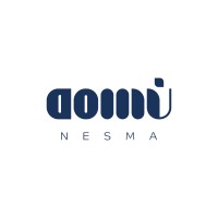 Nesma Studio logo - Similar company to Bravo Group