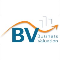 BV Consulting logo - Similar company to Logik