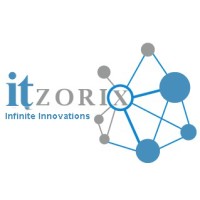 ItZorix (Private) Limited logo - Similar company to Mzort