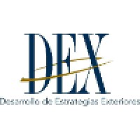 Grupo DEX logo - Similar company to Singular&Plural