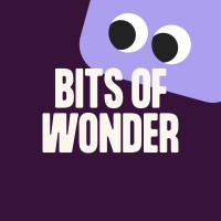 Bits of Wonder logo - Similar company to Detechhelden