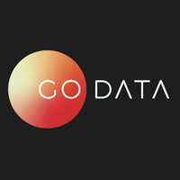 GO DATA logo - Similar company to Go-Database
