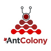 AntColony logo - Similar company to Kvl