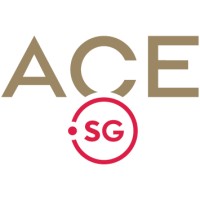 ACE.SG (Action Community for Entrepreneurship) logo - Similar company to Proxtera