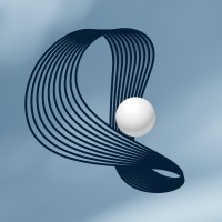 Spin Quantum Tech - SQT - Business acceleration through quantum computing. logo - Similar company to Anniq: Intelligent Customer Success Suite