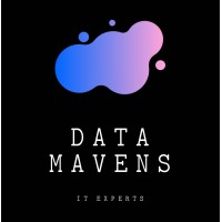 Data Mavens Ltd logo - Similar company to Data Co-Lab