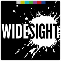 Widesight logo - Similar company to Cidori