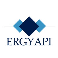 ERG Yapı logo - Similar company to Dijitorya