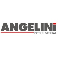 ANGELINI PROFESSIONAL SRL logo - Similar company to Ferexpert - S.P.A.