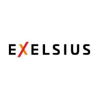 EXELSIUS logo - Similar company to Jam-Ess