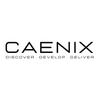 Caenix Global Services Private Limited logo - Similar company to Lorven Soft Inc