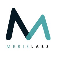 MerisLabs logo - Similar company to Qorepay