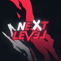 NextLevel Group logo - Similar company to Project One