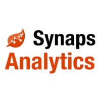 Synaps Analytics logo - Similar company to The One 23 Group