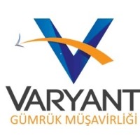 VARYANT GÜMRÜK MÜŞAVİRLİĞİ logo - Similar company to Anka Grup Yetkilendirilmiş Gümrük Müşavirliği
