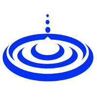N ENTREPRISE logo - Similar company to Ernst & Young Audit