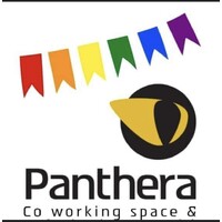 PantheraPro logo - Similar company to Hr911