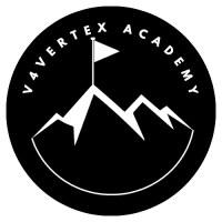 V4Vertex Academy logo - Similar company to Vee Work
