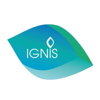 GRUPO IGNIS logo - Similar company to Inelcom, Ingeniería Electrónica Comercial