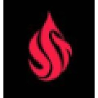 Singhania System Technologist Pvt. Ltd. logo - Similar company to Maxmould