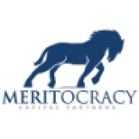 Meritocracy Capital Partners Inc. logo - Similar company to V&L Canada