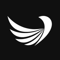 MedMinded AI logo - Similar company to Digital World Visions