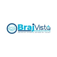 BrajVista Consultants logo - Similar company to Ozeca