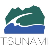 Tsunami Solutions Ltd logo - Similar company to Hire Xamarin Developer