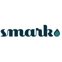 Smark Consulting logo - Similar company to Smarkk