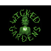 Wicked Wellness logo - Similar company to Trilogy Sanctuary