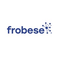 frobese GmbH Informatikservices logo - Similar company to Mainsec