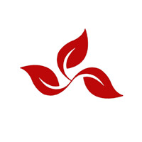Red Ivy Medical Billing & Coding logo - Similar company to Blackrokk Healthcare
