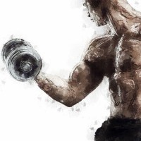Fit Pro Web