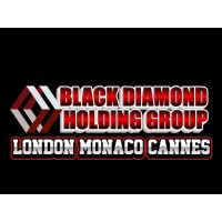 Black Diamond Holding Group Limited logo - Similar company to Monaco Wealth Llc