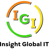 InsightGlobalIT logo - Similar company to Hitechdonkey