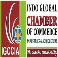IGCCIA logo - Similar company to Captusr