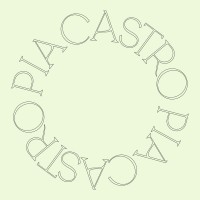 Pia Castro logo - Similar company to Cobra Felini
