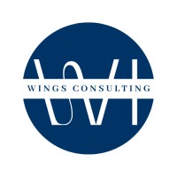 WINGS BUSINESS CONSULTING logo - Similar company to Torwin Infotech Pvt Ltd