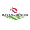 Bayas de México logo - Similar company to Consultora Las Chilcas