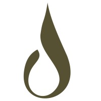 Wellspring Studio logo - Similar company to Invoodoo